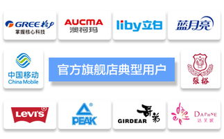 臺州飛速網絡 一站式網站建設、淘寶代運營與優化服務專家